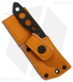 Gerber Dibs Fixed Blade Knife Black Steel (2.5" Black) 30-001903 -SOG Store Gerber Dibs FB Black BHQ 174456 td sheath