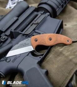 TOPS Knives Little Bugger Fixed Blade Knife Tan Canvas Micarta (2.3" Tumbled) -SOG Store TOPS Knives Little Bugger Fixed Blade Knife Tan Canvas Micarta Tumbled BHQ81896 kp on gun web